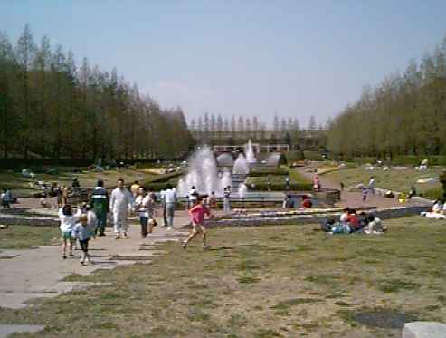 タローの散歩コース－県立相模原公園